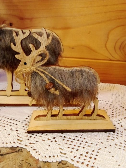 Renas Natal Madeira - Novas