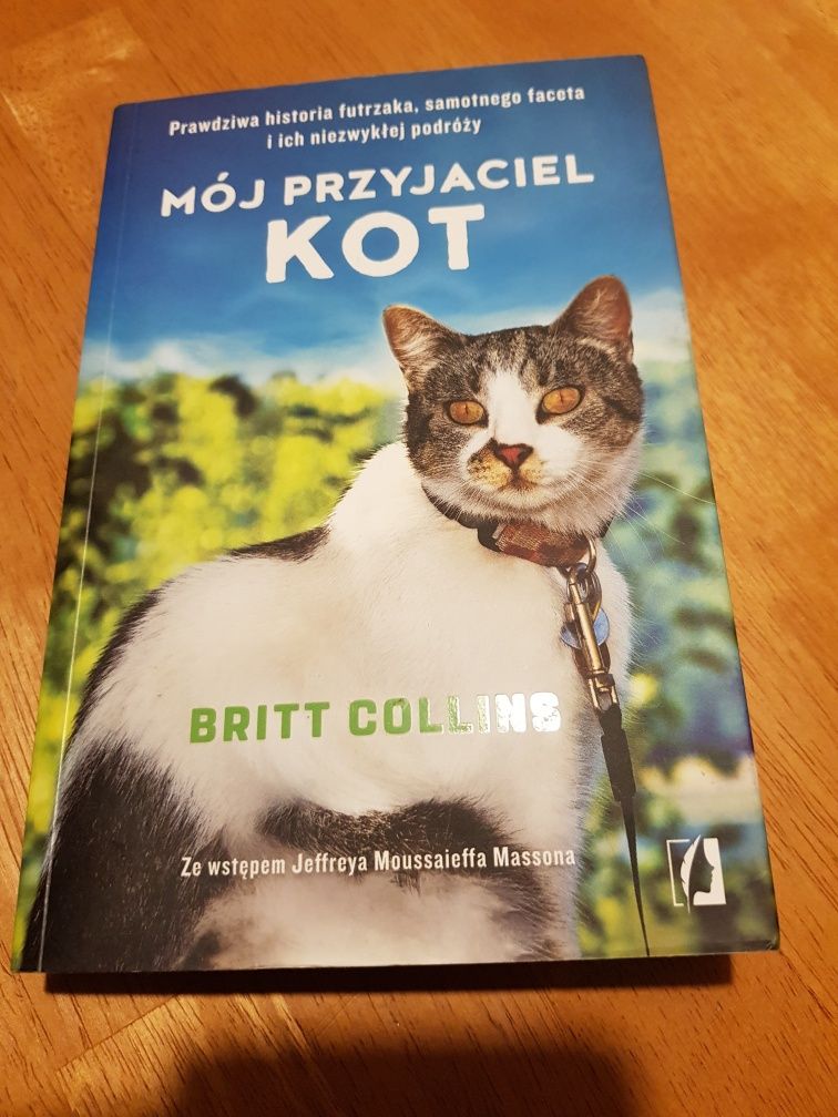 Britt Collins "Mój przyjaciel KOT"