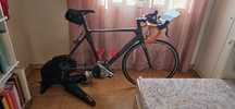 Tacx flux s rolo