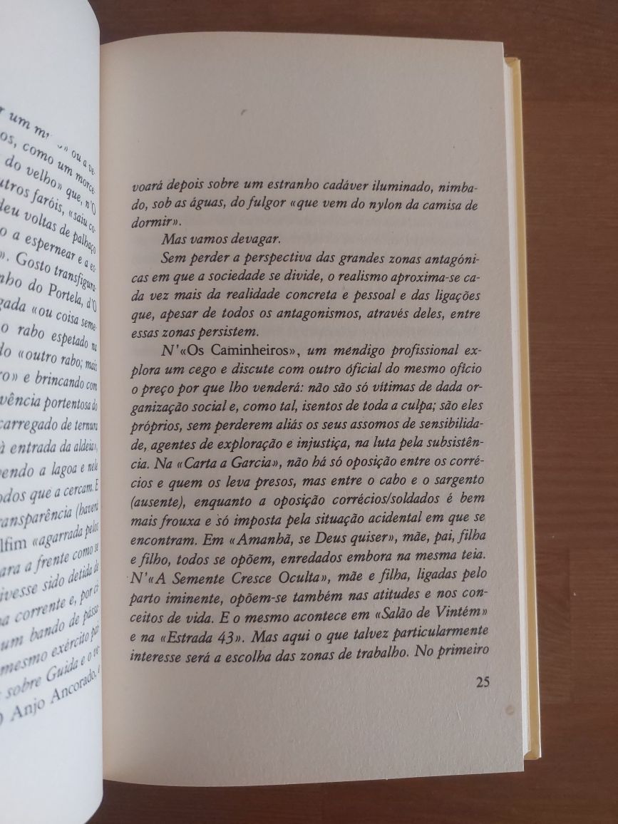 L " O Anjo Ancorado " José Cardoso Pires (Optimo Estado)