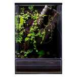 Terrarium tropikalne 40x40x60 gekon