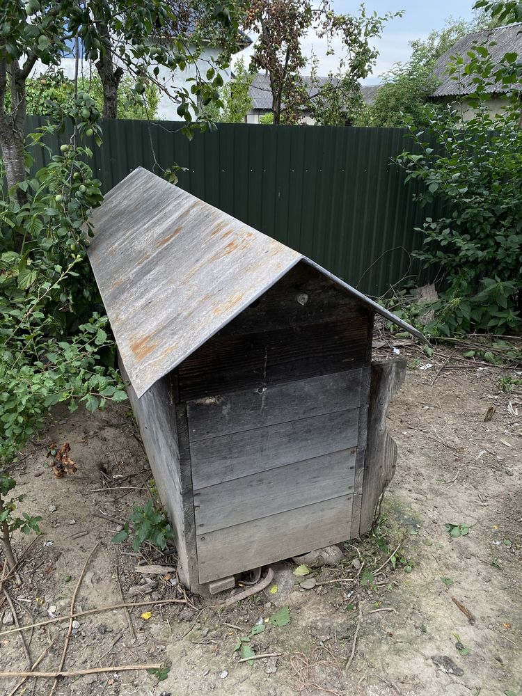 Продам вулик.