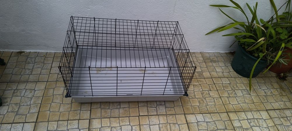 Gaiola 80cm para coelhos , porcos da Índia etc....