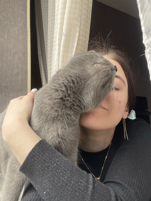Віддам котика безкоштовно