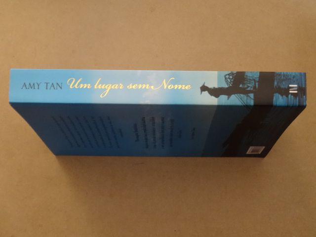 Um Lugar Sem Nome de Amy Tan