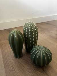 Conjunto de 3 cactus