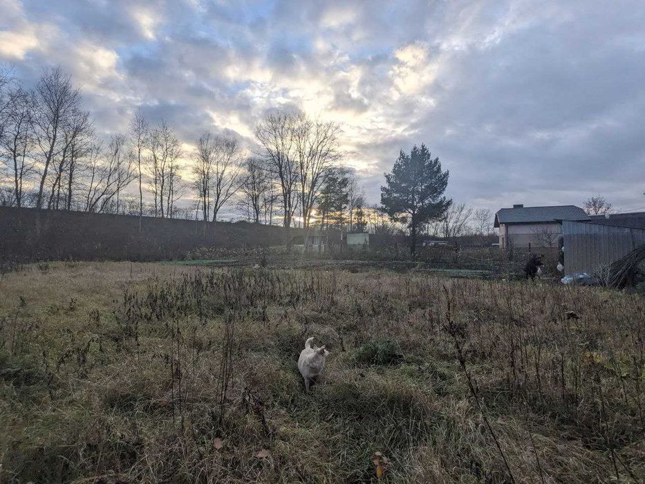 Продається дачна ділянка 10 сот в СТ Діброва (10)