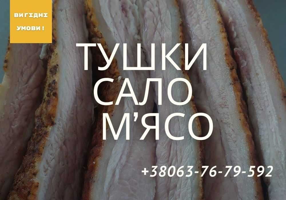 Тушки свинини СВІЖІ. М'ясо та сало з доставкою. ТЕЛЕФОНУЙТЕ!