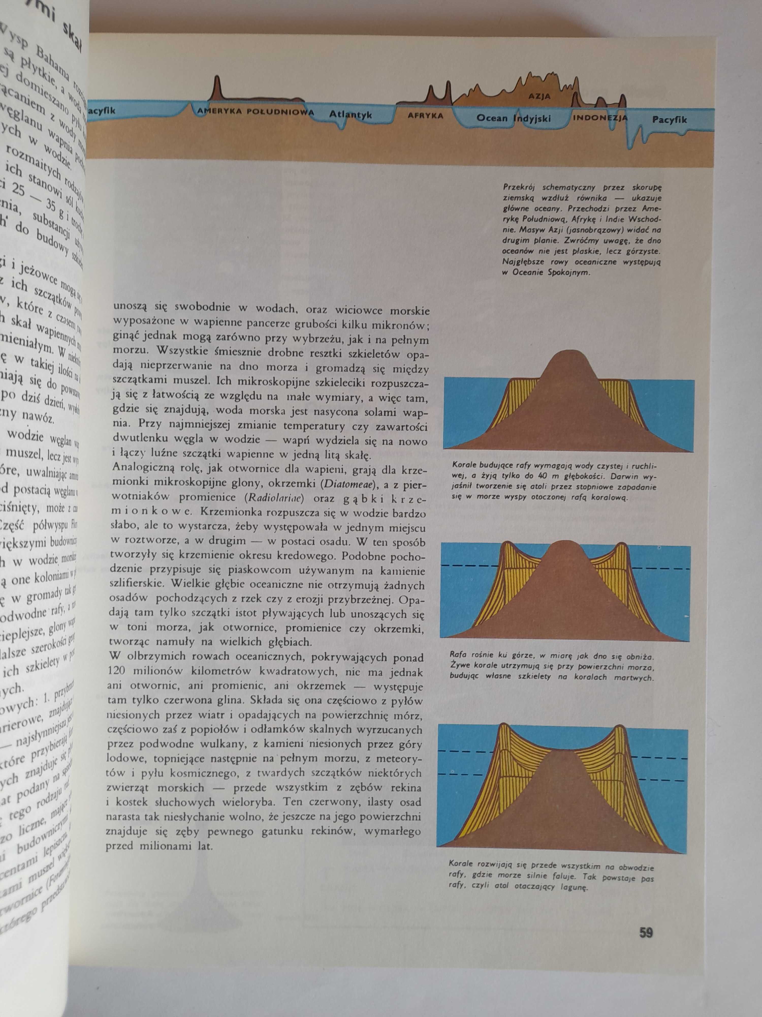 Ziemia rośliny zwierzęta - Larousse