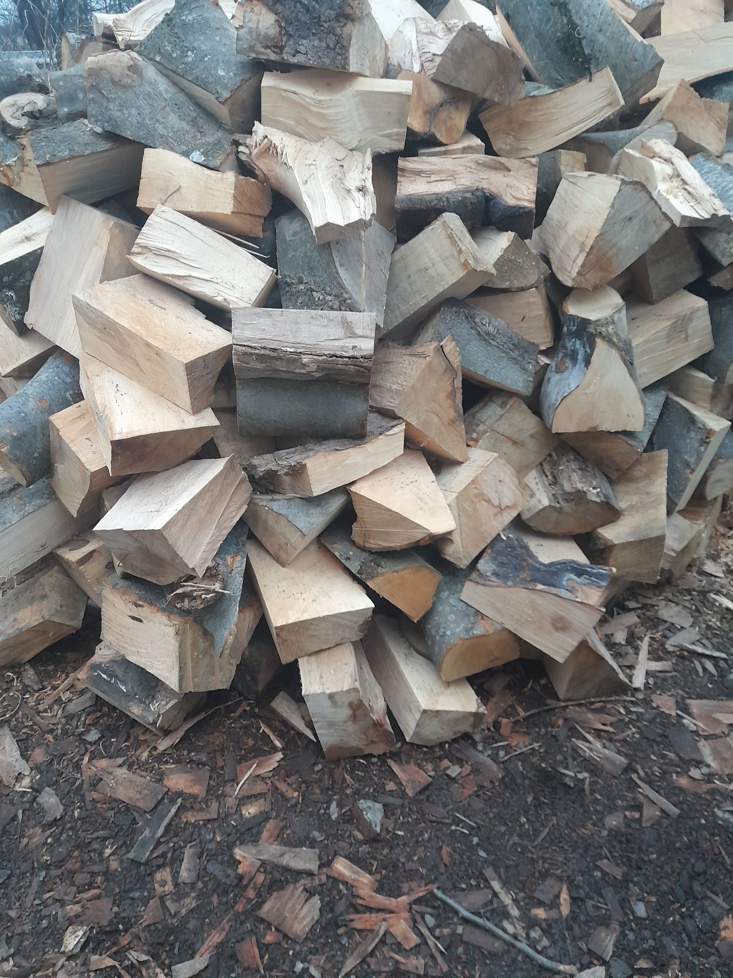 Продам дрова колоті