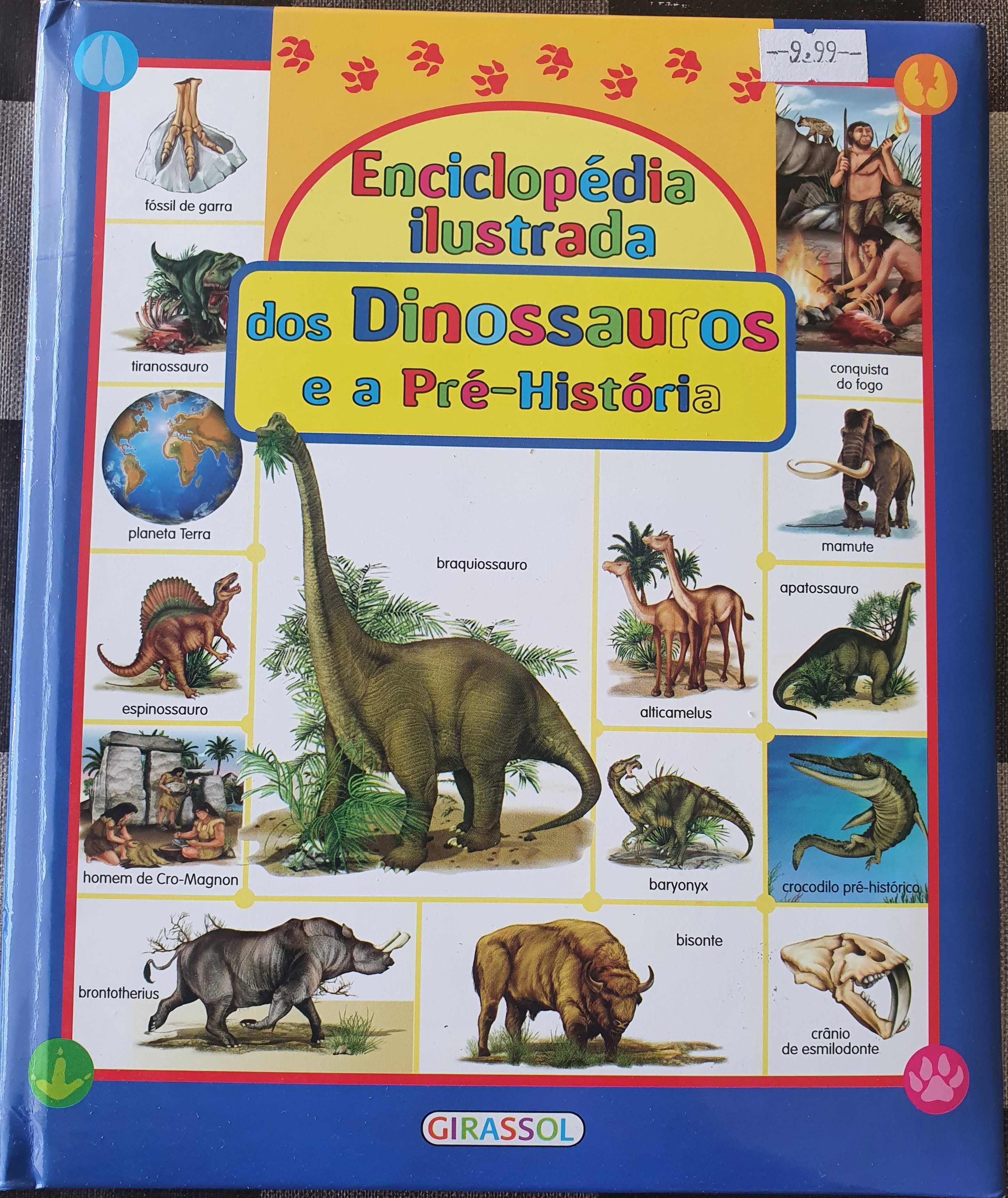 Livros Sobre Dinossauros (Criança)