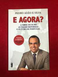 E agora? - Pedro Adão e Silva