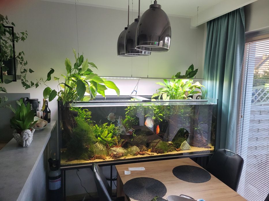 Akwarium 800 litrów