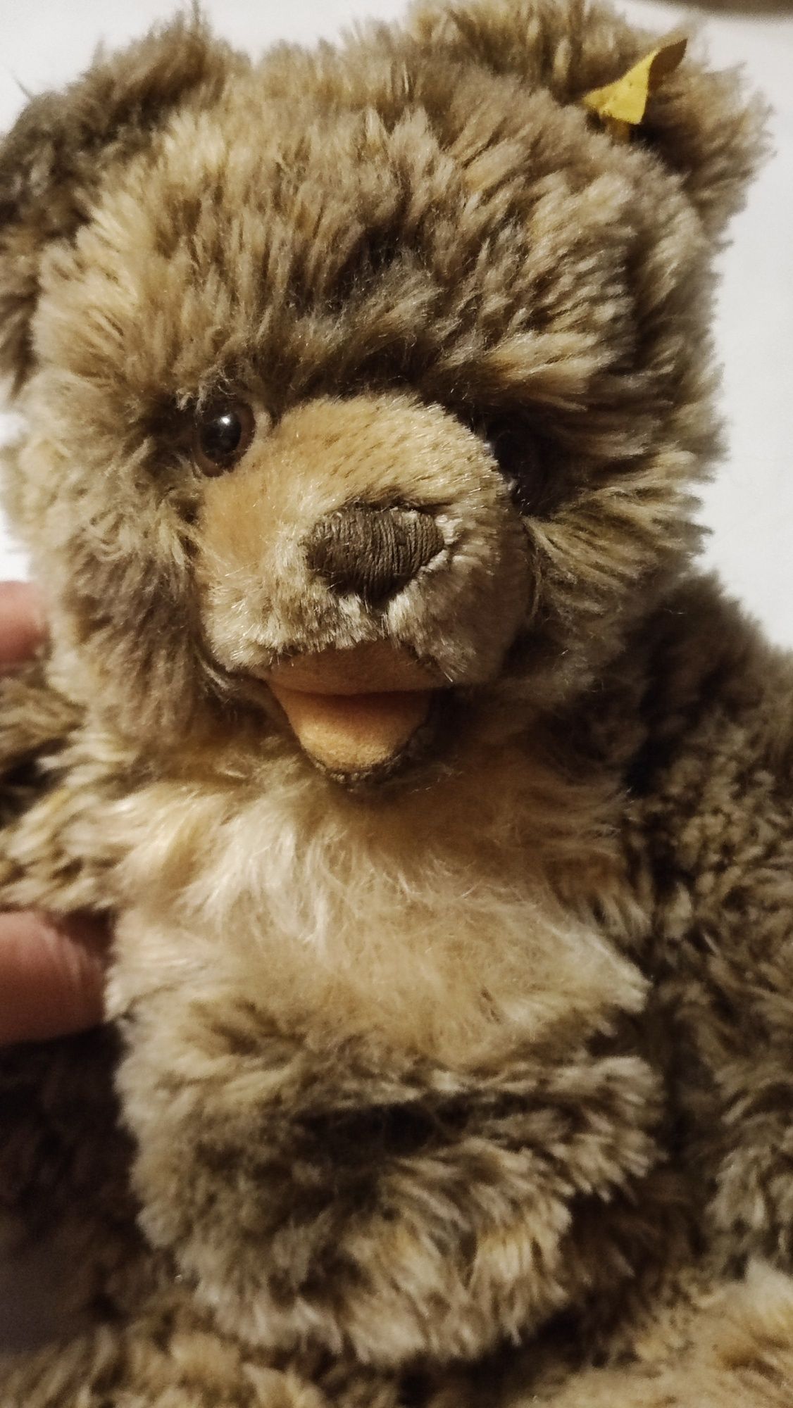 Очаровательный мишка Zotty от Steiff