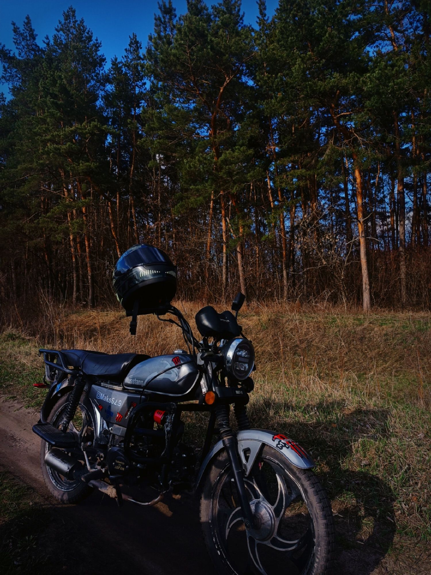 Mustang MT 125-2