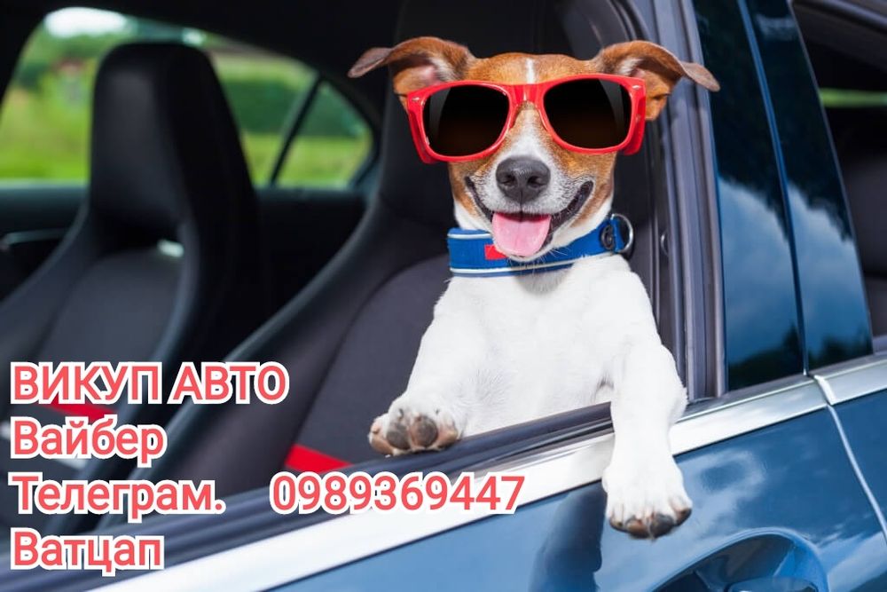 Автовикуп, авто на іноземній реєстрації, нерозмотнені