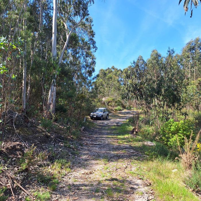 Terreno Florestal - Valpedre - Penafiel