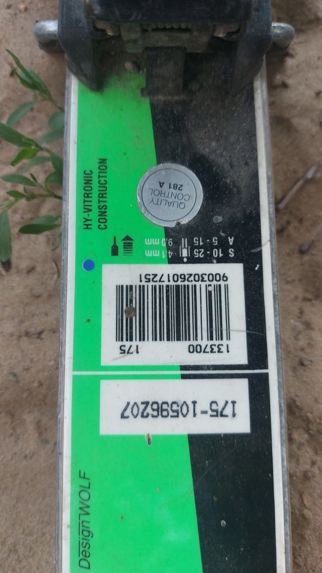 Лижі в хорошому стані
