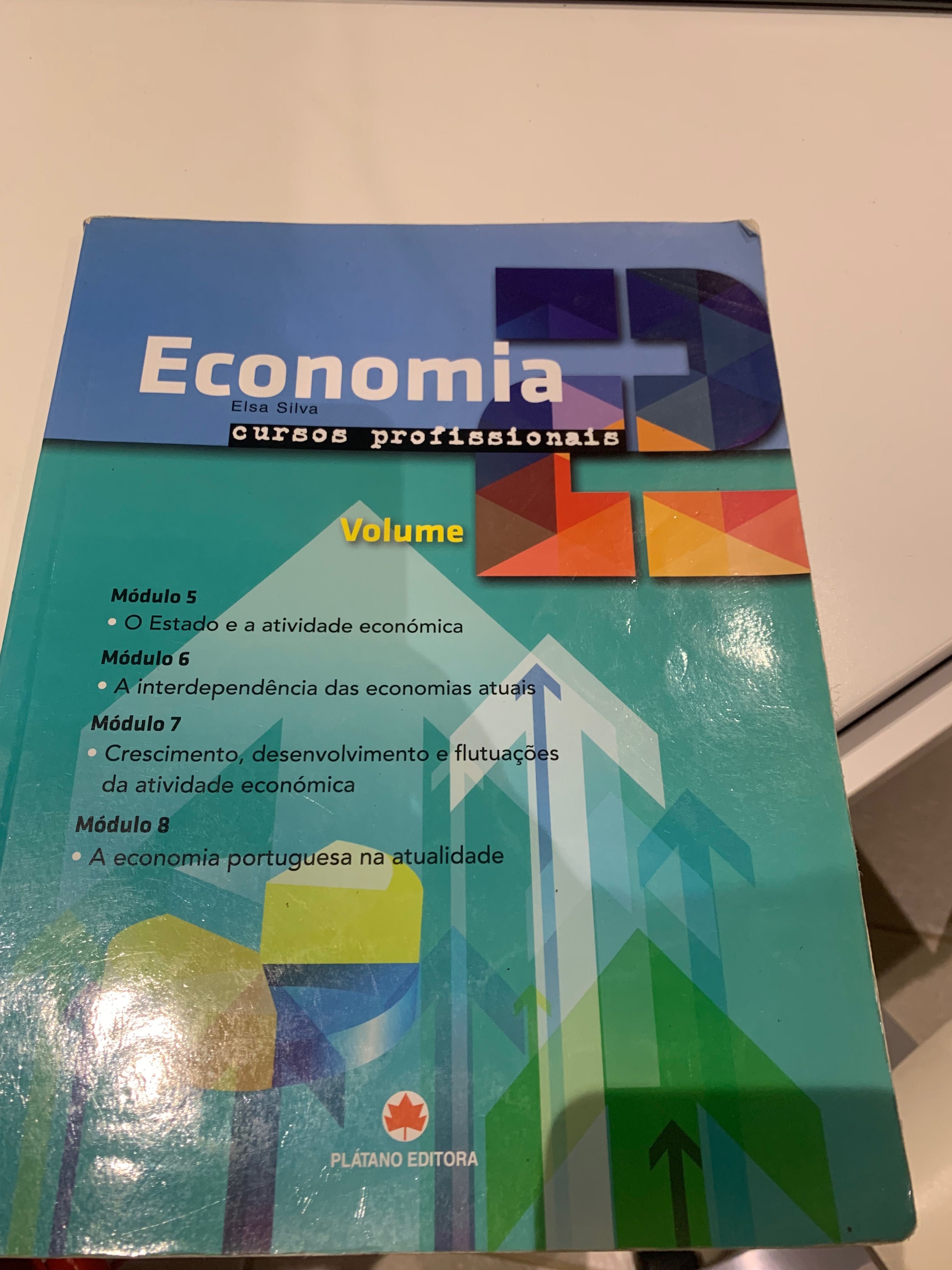 Economia cursos profissionais