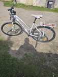 Rower damski Giant Roam Xr 2