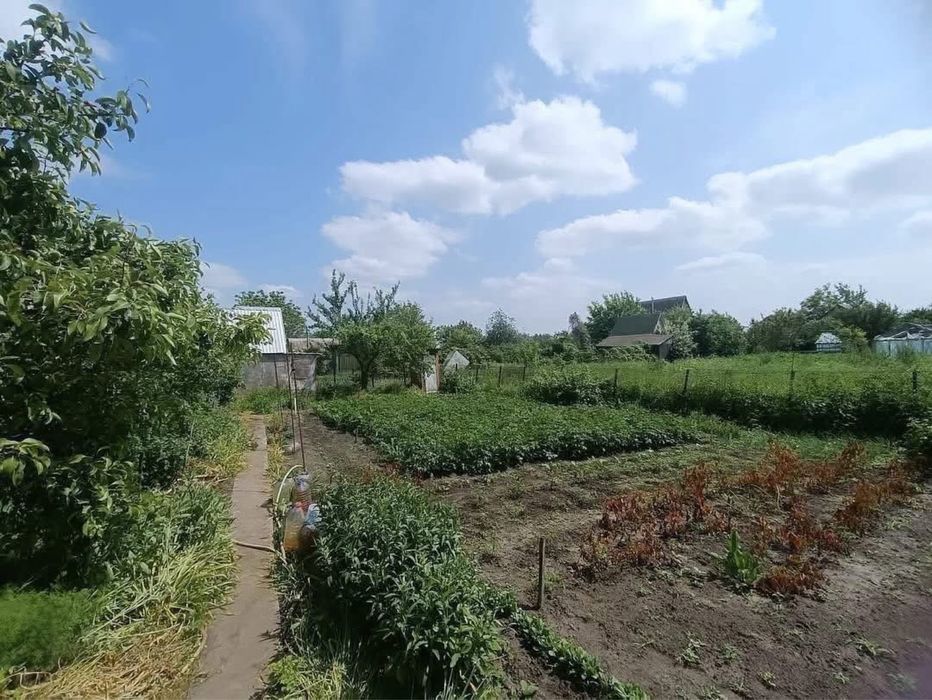 Продаж дачі в с. Чепеліївка в київській області