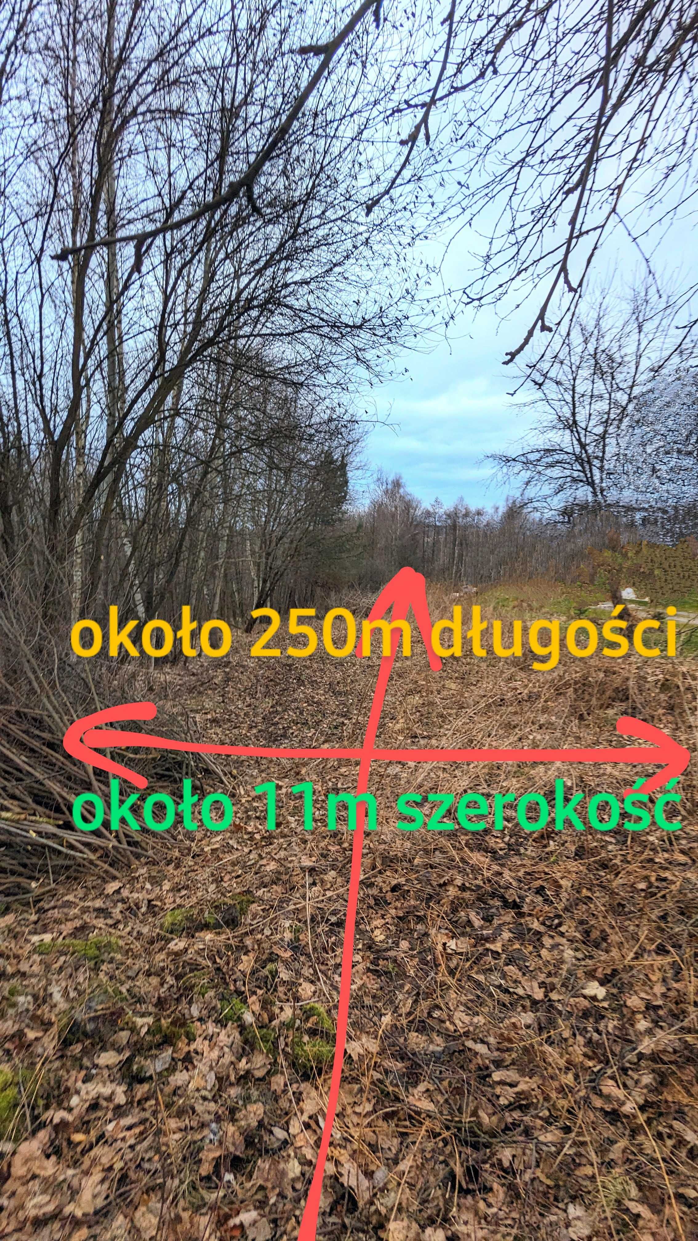 Działka rolno- leśna w Starym Wiśniczu 3100m2