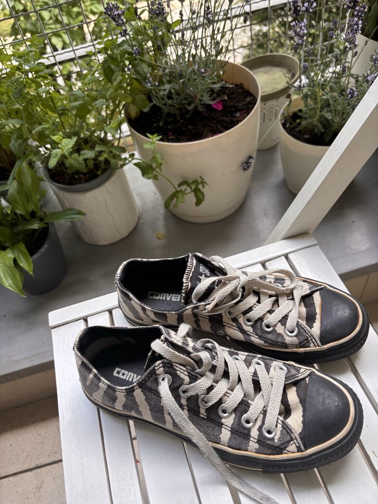 Converse All Star sneakers trampki zebra print  zwierzęcy czarno-białe