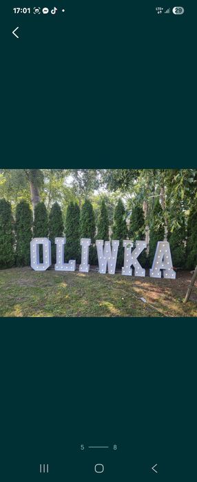 Napis Led wynajem! Np 100 lat, Oliwka, Amore.