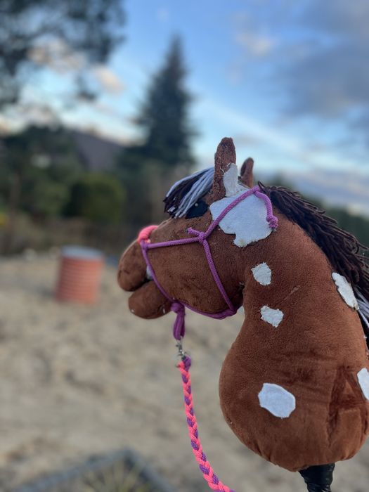 Sprzedam hobby horse