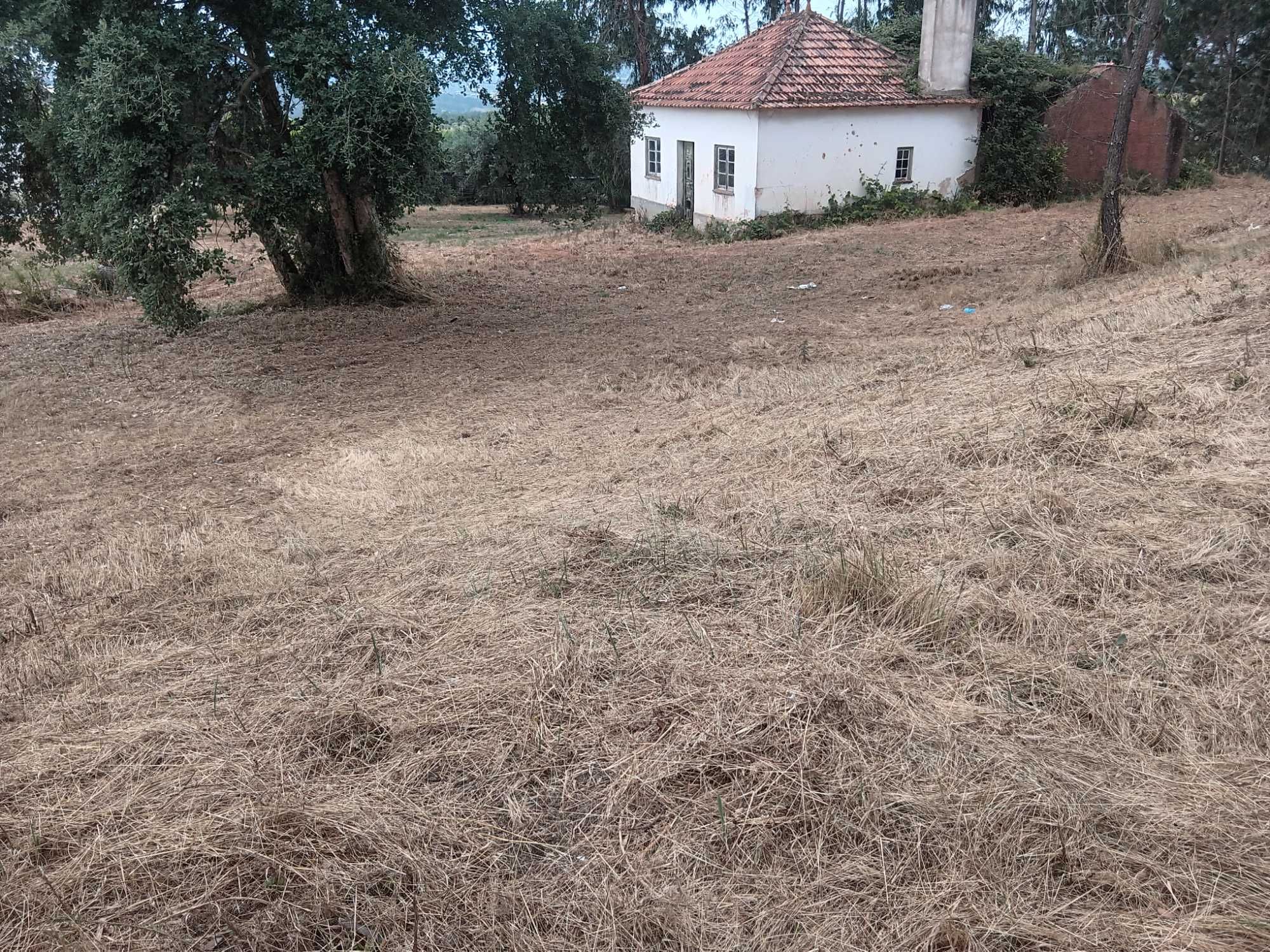 Casa antiga Ourém