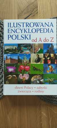 Ilustrowana encyklopedia Polski
