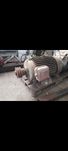 Silnik elektryczny 37KW