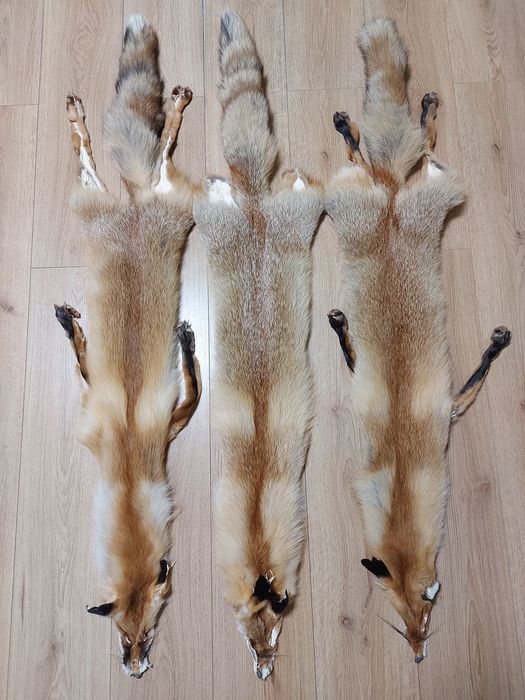 Хутро лиса, шкури лисиці