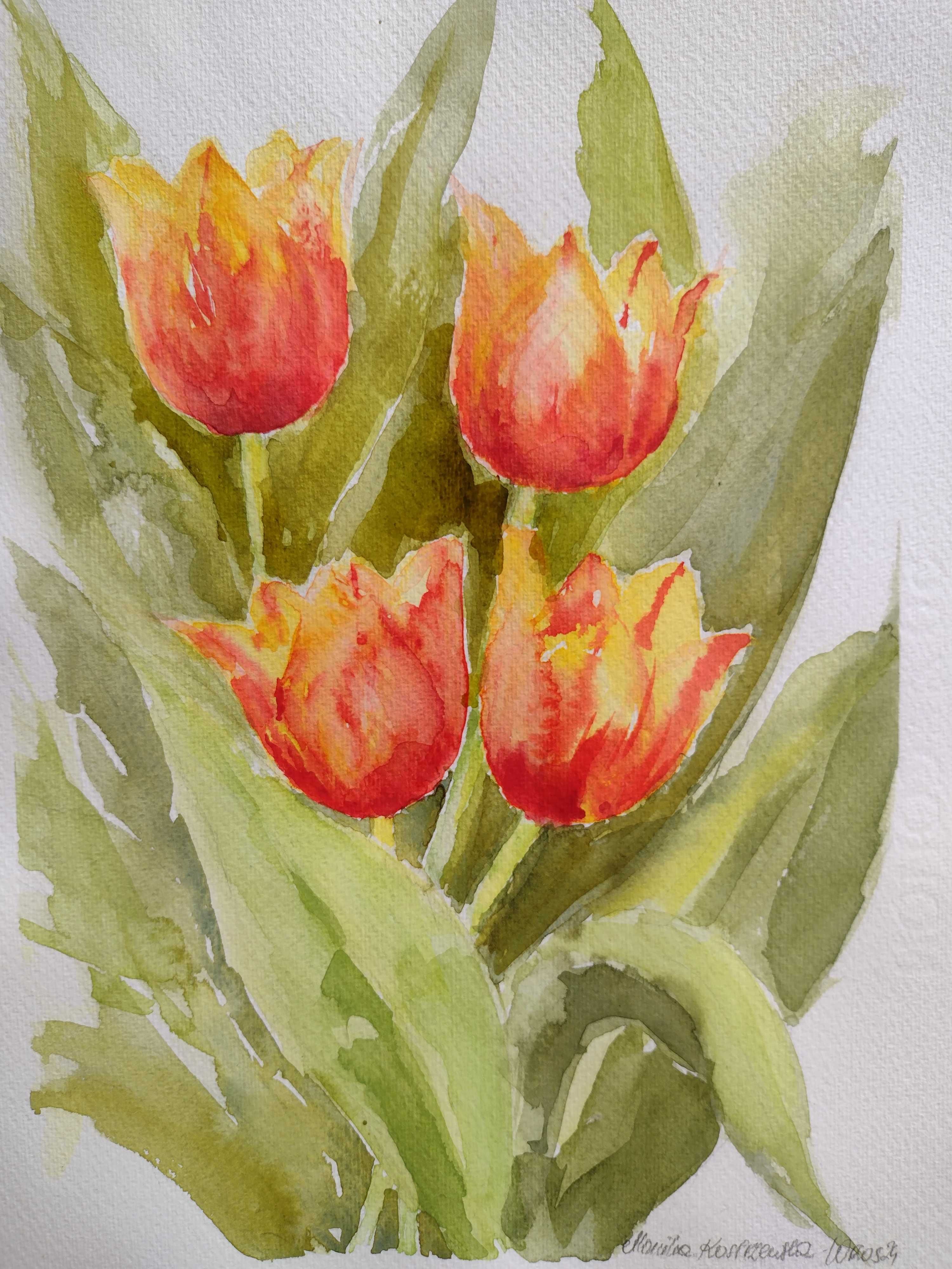 Akwarela, "Tulipany" format 30/40cm, cena z oprawą Dzień Matki prezent