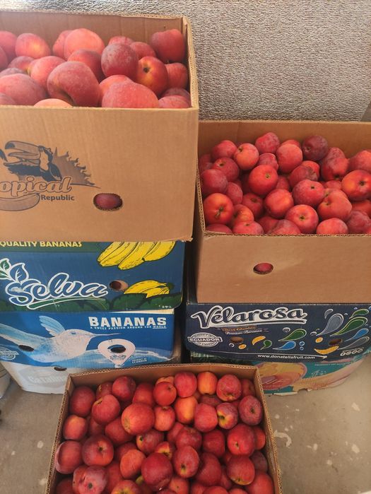 Яблука сорту Флоріна