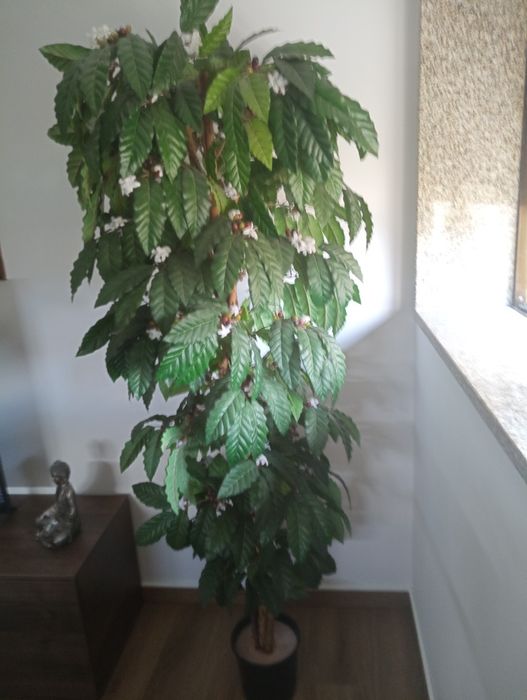 Planta Artificial do Café 1,70m