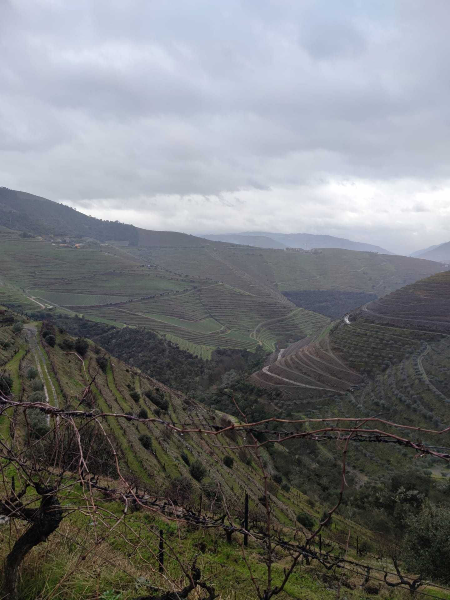 Quinta no Douro - Miradouro São Leonardo