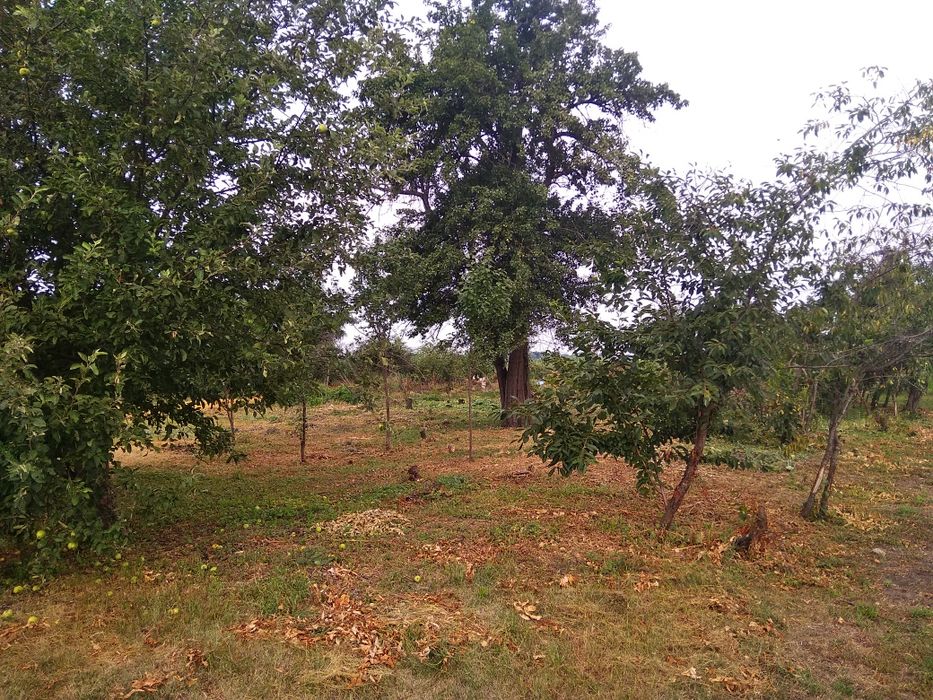 Земельна ділянка під будівництво