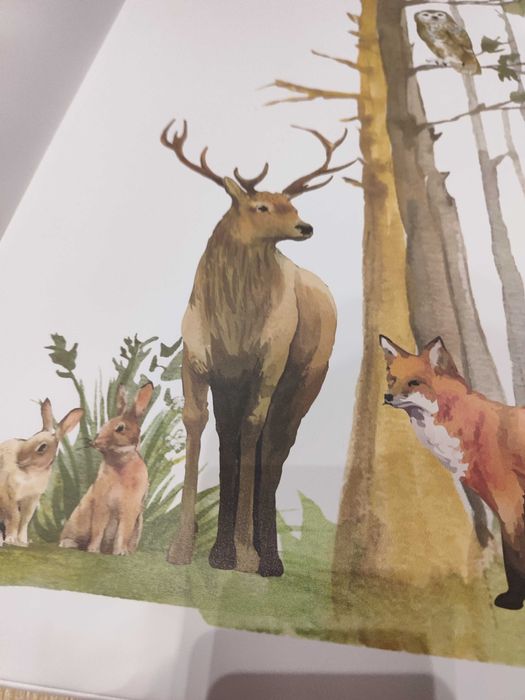 Przewijak usztywniany nowy Ceba 70x50