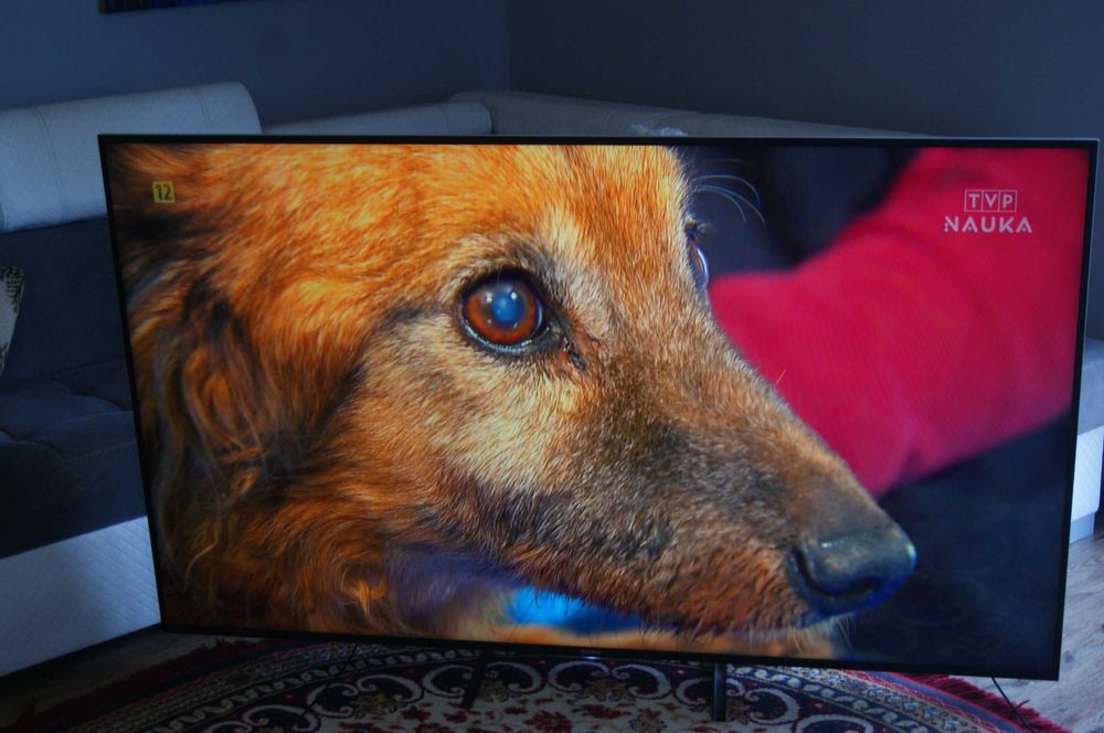 Telewizor 65 cali LED Sony Bravia 65XE7005 4K DVBT2 HDR Smart