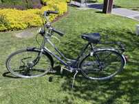 Rower Gazelle damka