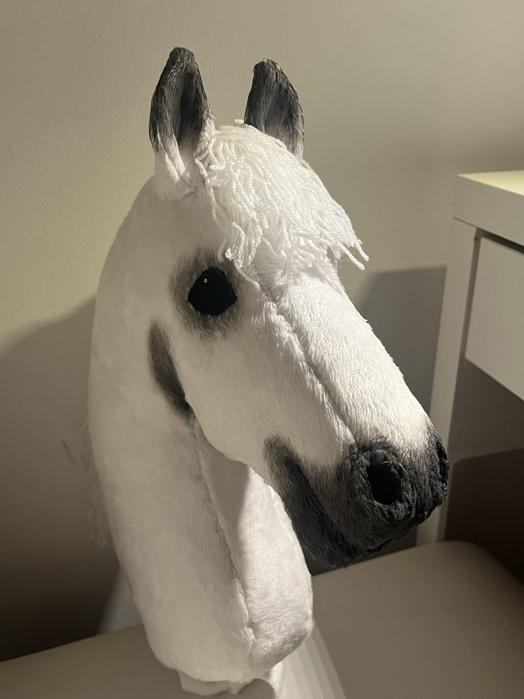 Hobby horse.