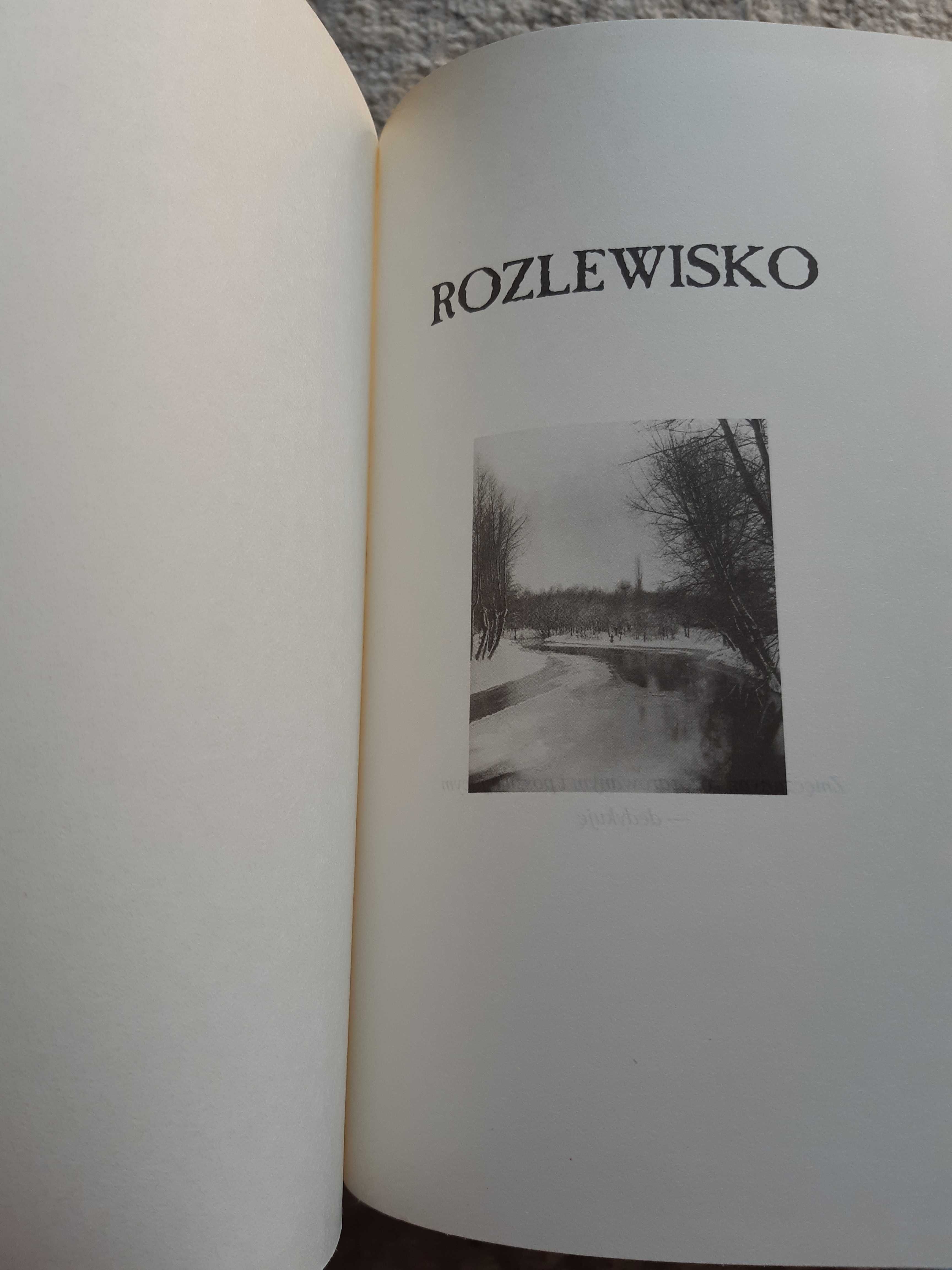 Rozlewisko Małgorzata Kalicińska - dwie części cyklu!