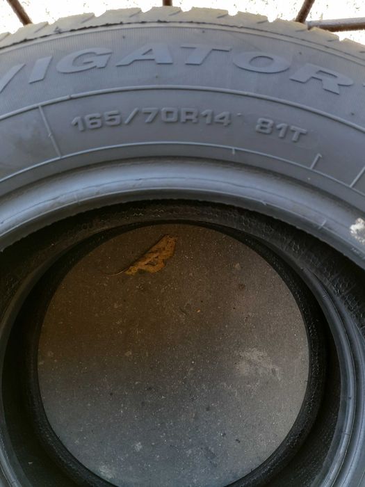 Opony całoroczne 165/70 R14 Dębica Navigator