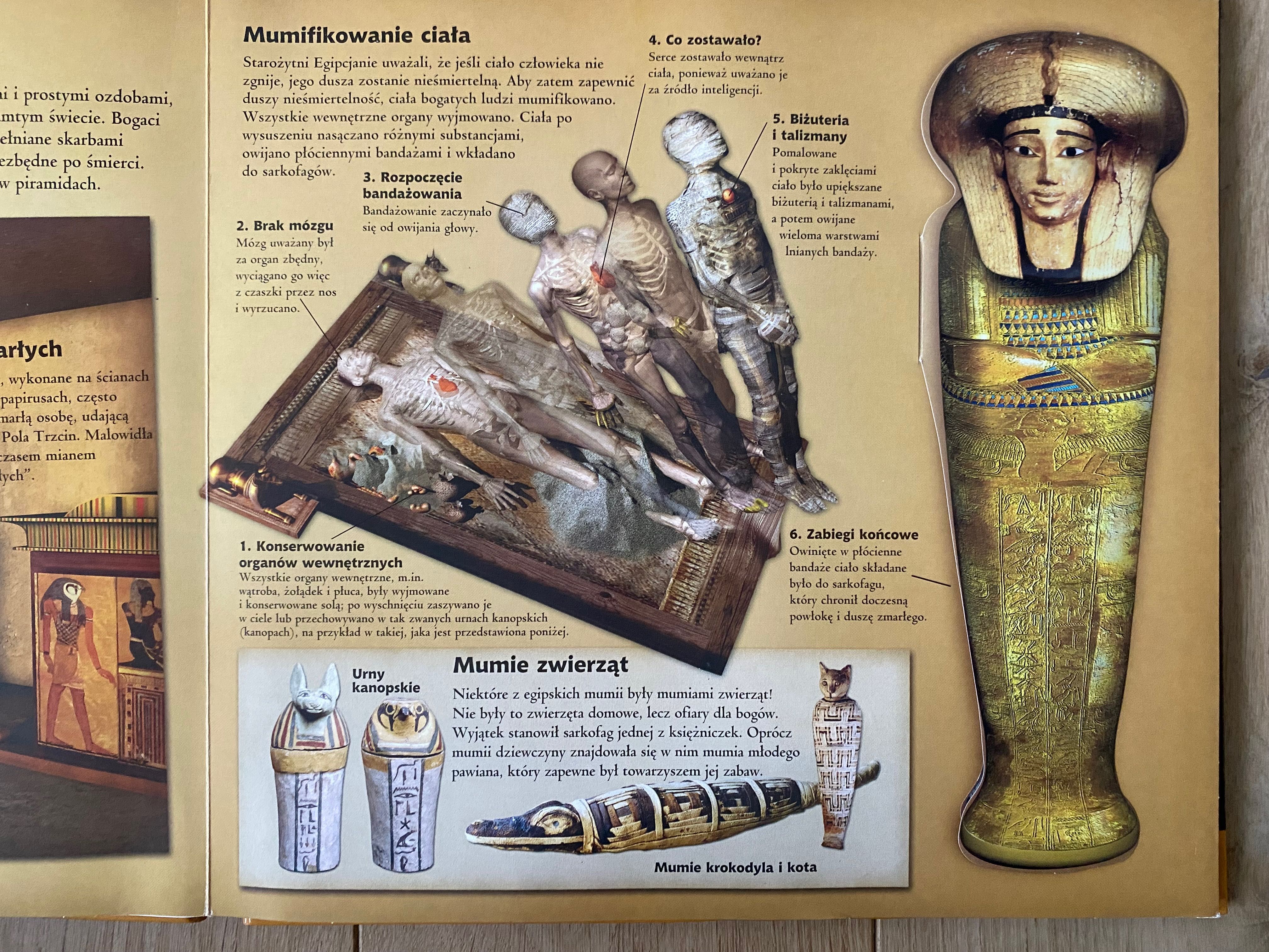 Starożytny Egipt Buchmann Z bliska 3d pop up rozkładanka faraon mumie