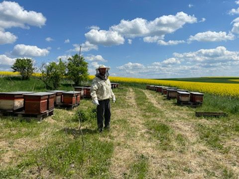 Miód z własnej pasieki Roztoczańska Barć