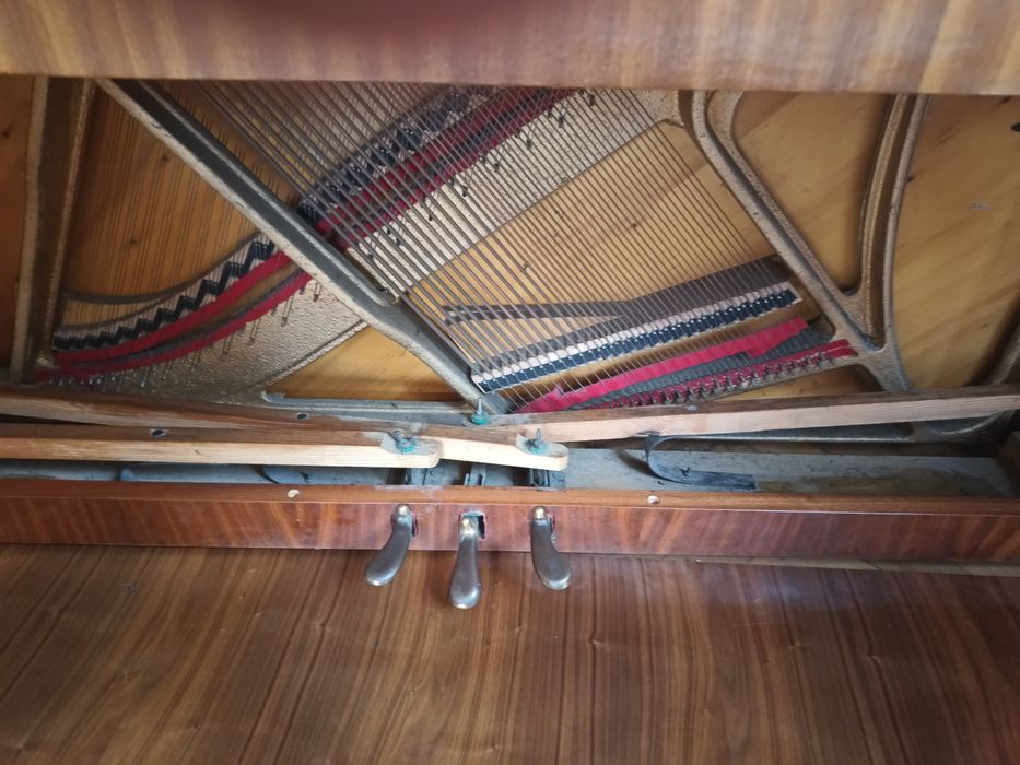 Pianino  CALISIA M-105