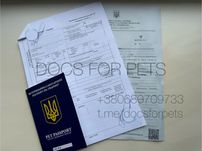 ТЕРМІНОВІ Документи для тварин собак котів закордон Євро титри паспорт