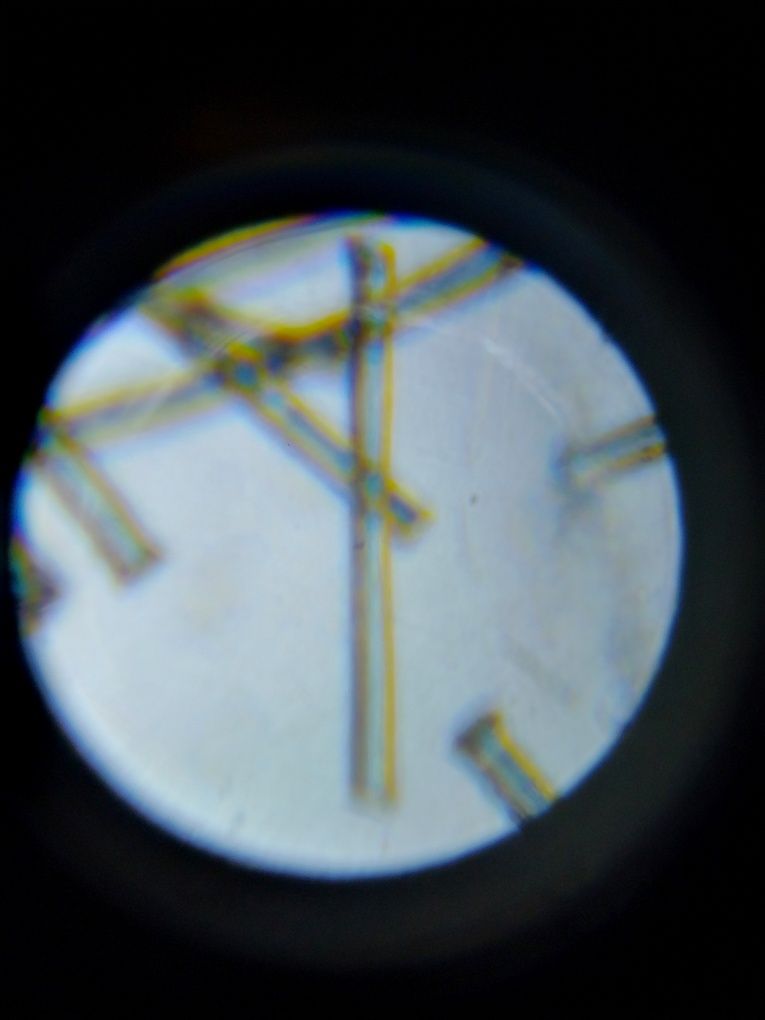 Детский микроскоп