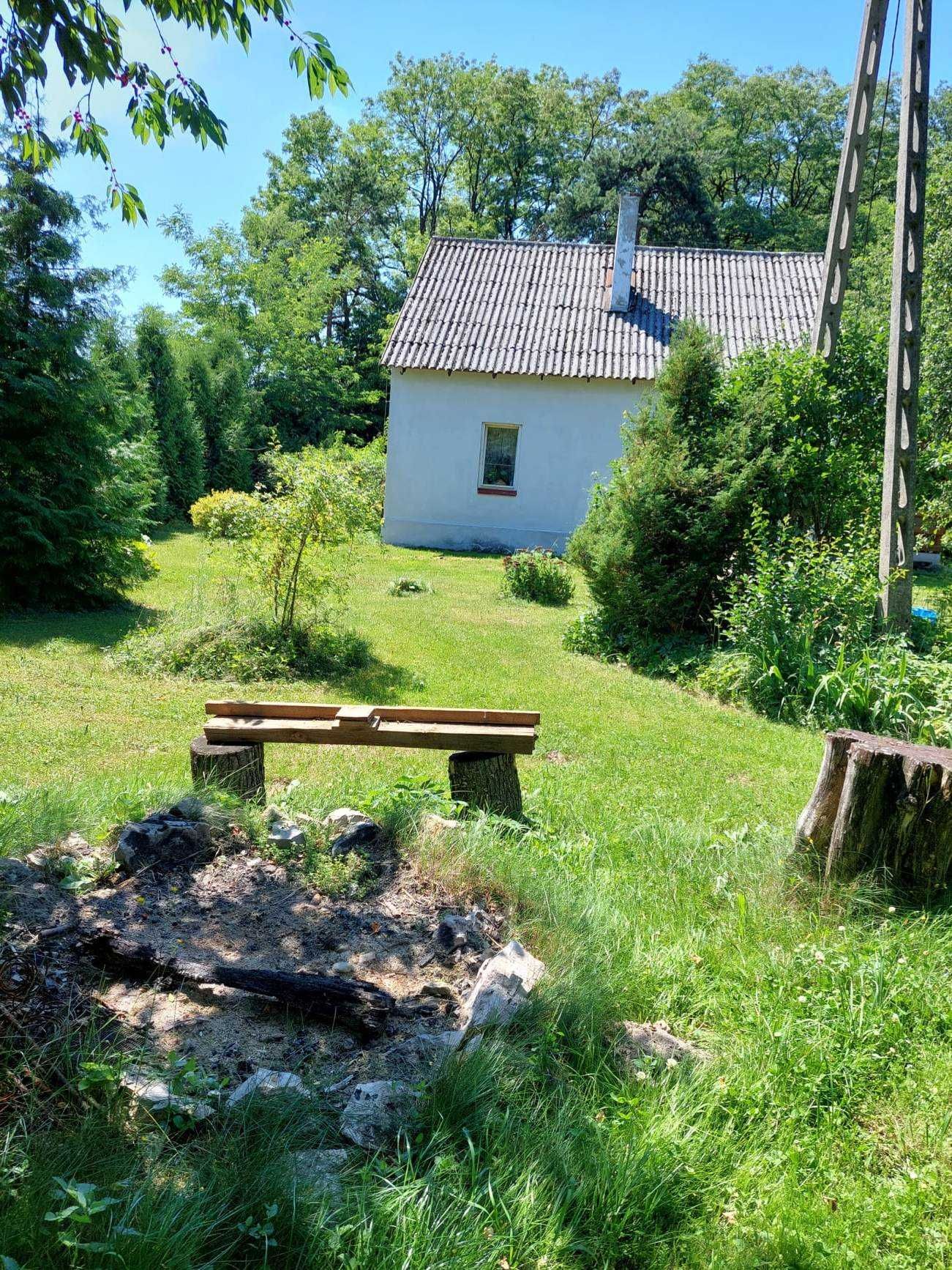 Leśniczówka - Sieńsko  wakacyjny dom na wyłączność